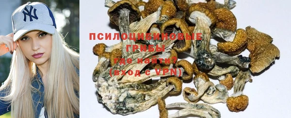 дживик Баксан