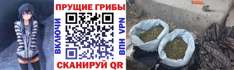 Псилоцибиновые грибы мухоморы  где можно купить наркотик  Бологое 